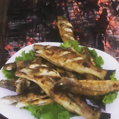 - Cemi - River View & Traditional Restaurant * Tamarë